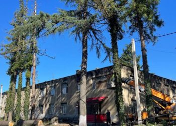 ძლიერმა ქარმა სამეგრელოში ხეები წააქცია და ელექტოროგადამცემი ხაზები დააზიანა