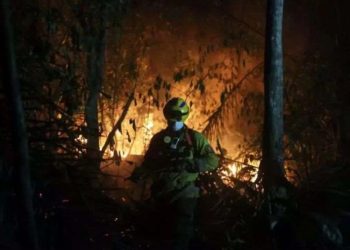 ტყის ხანძრების გამო ბოლივიაში საგანგებო მდგომარეობა გამოცხადდა