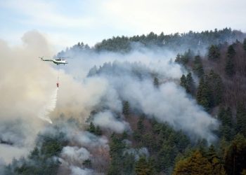 სასაზღვრო პოლიციის 4 ვერტმფრენი, 150 მეხანძრე-მაშველი, ცოცხალი ძალა – ბორჯომის ტყეში ხანძარს ებრძვიან