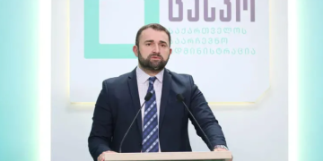 ნათესაური კავშირები არ შეიძლება იყოს საარჩევნო ადმინისტრაციის თანამშრომლის საქმიანობის შეფასების კრიტერიუმი – კალანდარიშვილი