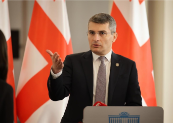 “სააკაშვილმა მსგავსად მოკლა პოლიციელი… ნაცი კლავს და ახლა ხდება ეს სიტყვით…” – მდინარაძე