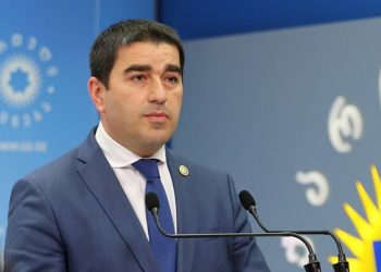 “ოპოზიციის ევროპული გზა არის გზა აფხაზებისა და ოსების გარეშე” – შალვა პაპუაშვილი