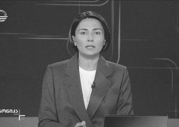 “შეფასებებში ჩაკარგული ინფორმაცია “იმედზე” – “მედია კრიტიკა”