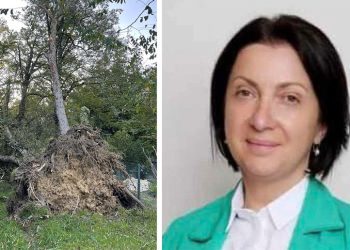 “ამ ხეებსაც დამარხავენ? თუ მარტო მეფის ბაობაბები სარკოფაგდებიან” – თამარ ბელქანია