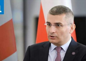 “ჩაიწერა და მერე ისეთი კადრები ამოუვარდა, ყურში რომ ჩაგვესმის დღესაც მეგრელი კაცის განწირული ყვირილი” – მდინარაძე