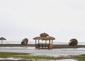 სტიქიის გამო, ფოთის სკოლებსა და ბაღებში სასწავლო-სააღმზრდელო პროცესი შეჩერდა