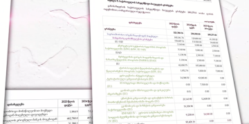61%–ით შემცირებული გრანტები და უცხოური დაფინანსება – რას აცხადებს პასუხად ხელისუფლება
