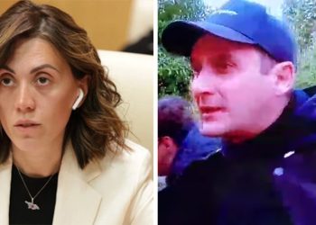 +18 – “ზვიად, “ნასედკავ”, ფეხები არავის მოგვაჭამო” – რა ვიდეოს ავრცელებს ანა წითლიძე