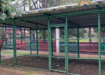 გალიები ფარშევანგების გარეშე – “წლის შემდეგ კვერცხებიც გვექნება” – რა ხდება ქობულეთში