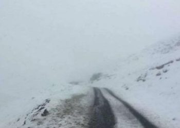 თოვლის გამო, ფშაველი–აბანო–ომალოს საავტომობილო გზის მონაკვეთზე მოძრაობა აიკრძალა – გზების დეპარტამენტი