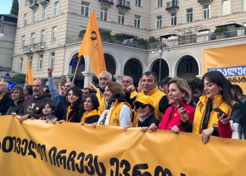 რით დაიღალნენ ივანიშვილი და “ოცნება” – ანა დოლიძე