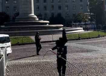 მზადება “ოცნების” ღონისძიებისთვის – რუსთაველი და თავისუფლება ქუჩის ძაღლებისგან გაასუფთავეს