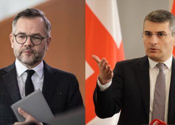 “ამისთვის დიდი ცინიზმი და თავხედობაა საჭირო” – როთი მდინარაძის განცხადებაზე