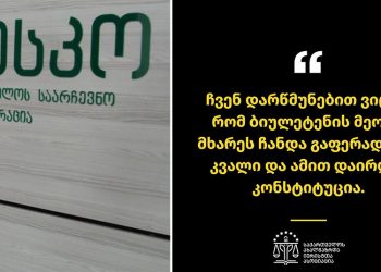 “ჩვენ არ ვდაობთ იმაზე, ცესკომ რა ქაღალდი შეიძინა, ჩვენ დარწმუნებით ვიცით, რომ ბიულეტენის მეორე მხარეს ჩანდა გაფერადების კვალი და ამით დაირღვა კონსტიტუცია” – საია
