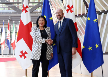 “ეს გადაწყვეტილება მხოლოდ ქართველმა ხალხმა შეიძლება მიიღოს” – მიშელი ზურაბიშვილთან შეხვედრის შემდეგ