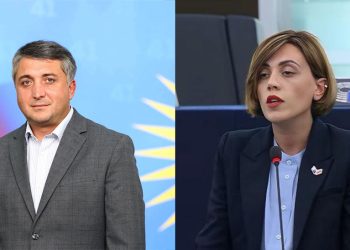 “დავით კოდუა, ბოთე, დაგვაკავე, კაცო, ამდენ დანაშაულს თუ ჩავდივართ” – წითლიძე