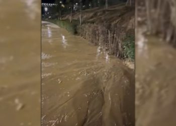 მერია თემქის პარკზე: დაზიანდა წყლის მილი, წყალმა ზედაპირული მიწა ჩამოიტანა ბილიკზე