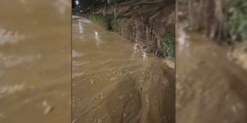 მერია თემქის პარკზე: დაზიანდა წყლის მილი, წყალმა ზედაპირული მიწა ჩამოიტანა ბილიკზე