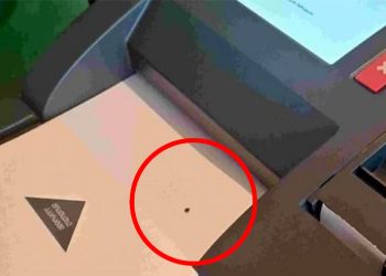 ტექნიკური შემოწმებისას დადგინდა, რომ ბიულეტენების უკანა მხარეს არჩევანი ხილვადია – საია