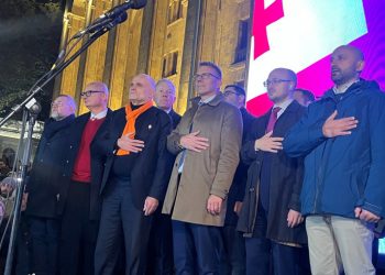 აქციას ევროკავშირს 8 ქვეყნის პარლამენტის საგარეო კომიტეტების თავმჯდომარეები შეუერთდნენ