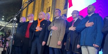 აქციას ევროკავშირს 8 ქვეყნის პარლამენტის საგარეო კომიტეტების თავმჯდომარეები შეუერთდნენ