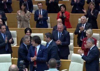 პაპუაშვილი თავმჯდომარედ, ვოლსკი, წულუკიანი, წილოსანი – მოადგილეებად დაამტკიცეს