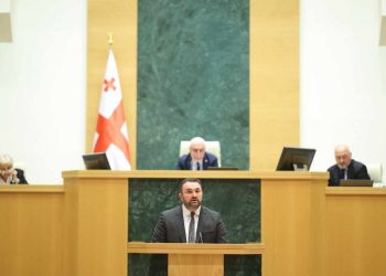 ,,ოცნებამ” კომიტეტების თავმჯდომარეები დაამტკიცა