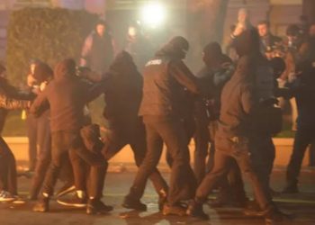 პარლამენტის ადვოკატი ბექა ბასილაია დააკავეს