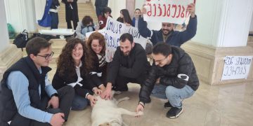 “ბსუ–ის რექტორს ვადა მივეცით დღის ბოლომდე” – ბსუ–ის სტუდენტები