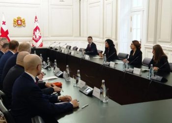 8 ევროპარლამენტარი საქართველოს პრეზიდენტს ხვდება