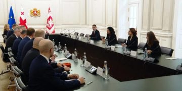 8 ევროპარლამენტარი საქართველოს პრეზიდენტს ხვდება