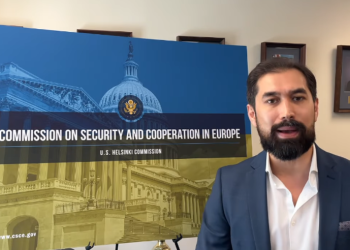 ჰელსინკის კომისიის მრჩეველი: ფაქტი, რომ მალკევიჩი არჩევნების დროს თბილისში იმყოფებოდა, უამრავ სახიფათო სიგნალს იძლევა