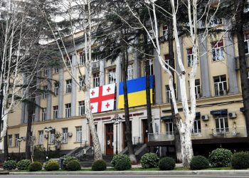 “აკადემიური საზოგადოების ვალია, დაიცვას ქვეყნის ევროპული მომავალი” – ილიაუნი