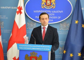 დაუშვებელია ჟურნალისტის მიმართ, რომელიც მიმდინარე მოვლენებს აშუქებს, გამოყენებულ იქნას რაიმე ტიპის ძალა, ეს არის დანაშაული – იოსელიანი