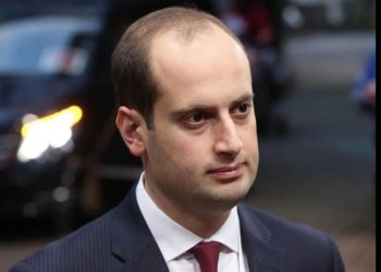 “დღეს მივმართავ საჯარო მოხელეებს, ვისთან ერთადაც მრავალი წელი ვიმუშავე” – პაპუნა ჯანელიძე