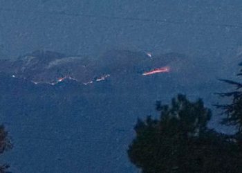 კახეთში ხანძარია – დეტალები