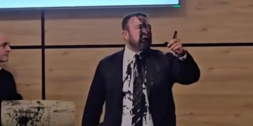 „ჩემი ინფორმაციით, ეს საღებავი შეიცავს ბეტა კანცეროგენს, რაც ჯანმრთელობისთვის სახიფათო ნივთიერებაა“ – ირმა ჭკადუა ცესკოს სხდომაზე მომხდარს გამოეხმაურა