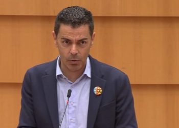 “ნათელი უნდა მოეფინოს არჩევნებზე ყველა დარღვევას” – ევროპარლამენტარი