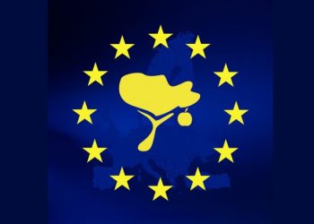 პროტესტის მხარდაჭერის მიზნით, 2 დეკემბერს, სკოლა არ იმუშავებს – “ნიუტონის სკოლა”