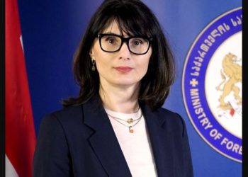 ლიეტუვაში საქართველოს ელჩი, სალომე შაფაქიძე გადადგა