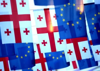 ბრძოლის დროა – შეზღუდული შესაძლებლობის და სპეციალური საჭიროების მქონე პირებთან მომუშავე სპეციალისტები