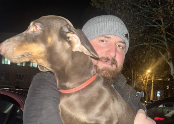 “ერთი წლის წინ მოპარეს ამ ადამიანს ძაღლი, მას მერე ეძებდა”– ტასო ლოსაბერიძე