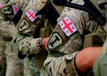 “ჩამოვაყალიბოთ ეროვნული წინააღმდეგობის ერთიანი გეგმა!” – თავდაცვის ყოფილი მაღალჩინოსნები