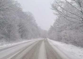 ნიჩბისი-დიდგორი-დიდი თონეთის საავტომობილო გზაზე მოძრაობა იზღუდება