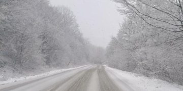 ნიჩბისი-დიდგორი-დიდი თონეთის საავტომობილო გზაზე მოძრაობა იზღუდება