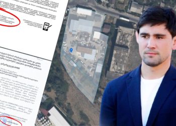 ხინჩეგაშვილმა მერად არჩევიდან ერთ თვეში მერიის დახმარებით დედას მიწა გაუფორმა