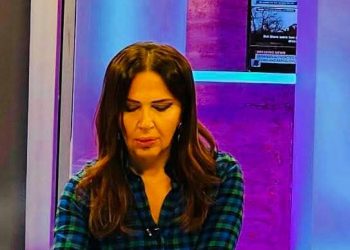 “რატომ ასუფთავებენ ასე გამხეცებულები ? არ მითხრათ, ნაძვის ხისთვისო” – ინგა გრიგოლია