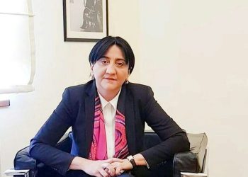 “რასაც სააკაშვილის წლებში არ ვეგუებოდი, დღესაც არ შევეგუები!” – ირმა ინაშვილი