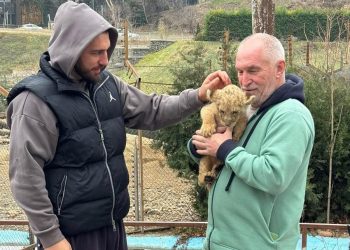 “ბოკვერი უკვე ჩვენს ზოოპარკშია” – რა ფოტოს აქვეყნებს ლაშა ბექაური?