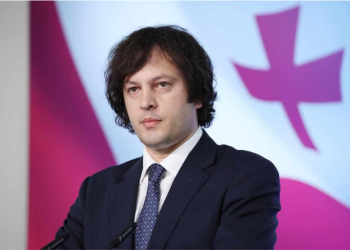 საქართველოში ყველაფერი არის კარგად, პარლამენტი მუშაობს, მთავრობა მუშაობს, პრეზიდენტი დაიწყებს მუშაობას 29 დეკემბრიდან, სწორედ ამას ვერ ეგუებიან კონკრეტული ჩინოვნიკები ევროკავშირში – პრემიერი